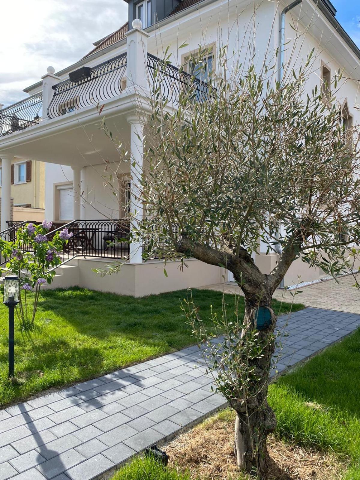 Primera Villa Singen Luaran gambar